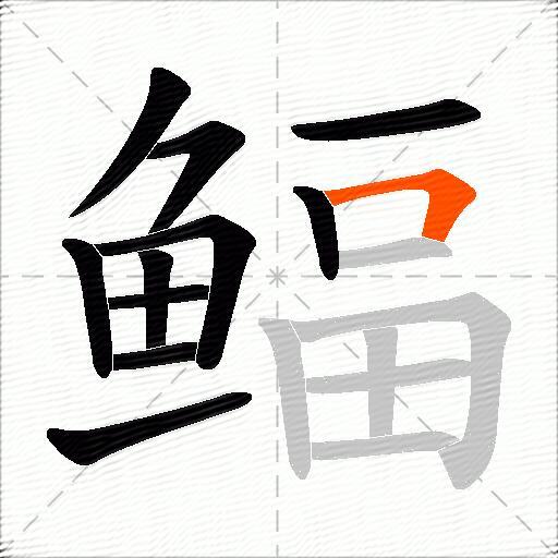 鲾