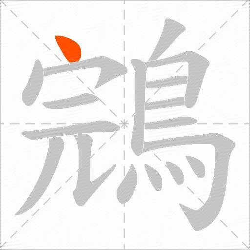 鵍