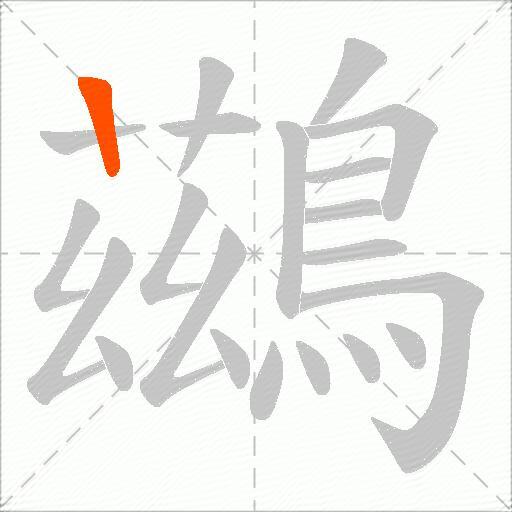 鷀