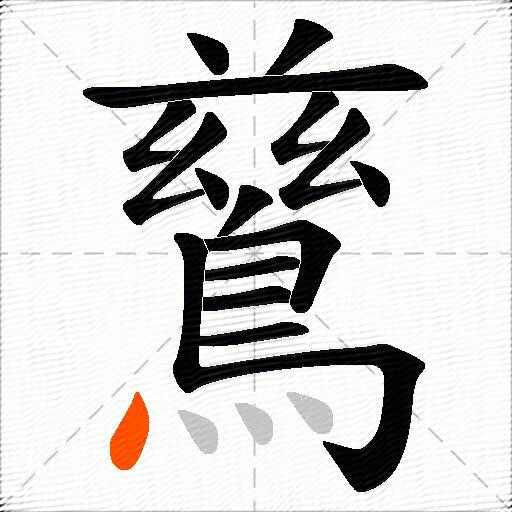 鶿