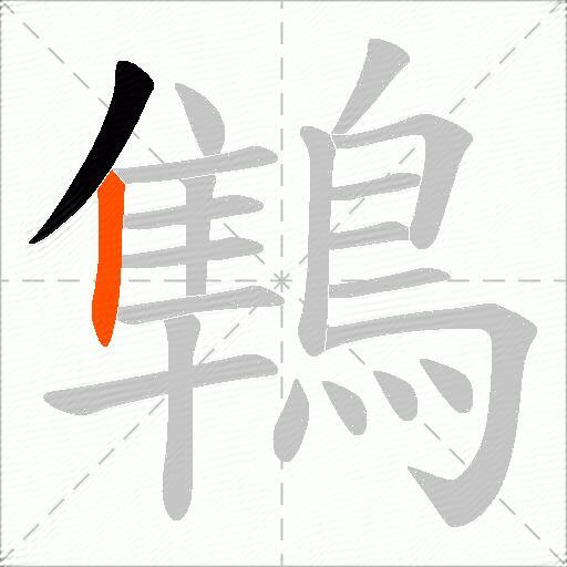 鶽