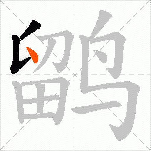 鹠