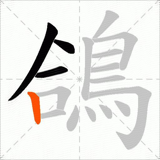 鴿