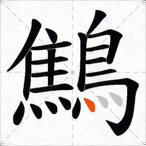 鷦