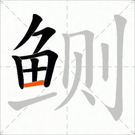 鲗