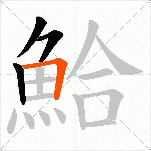 鮯