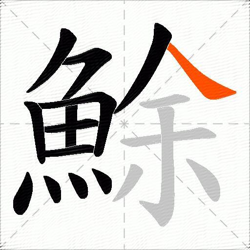鮽