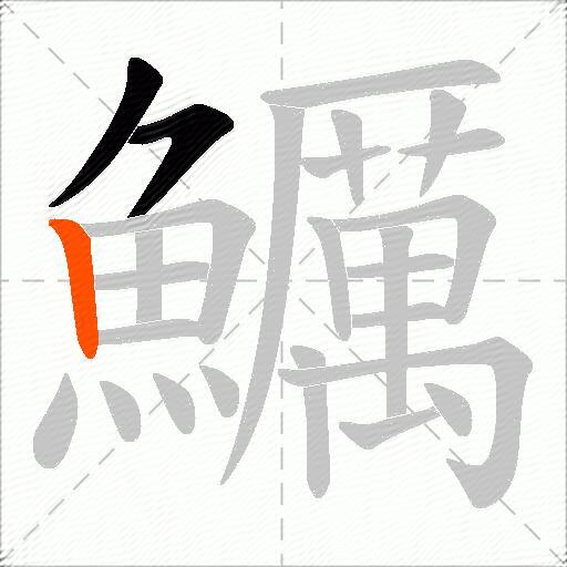 鱱