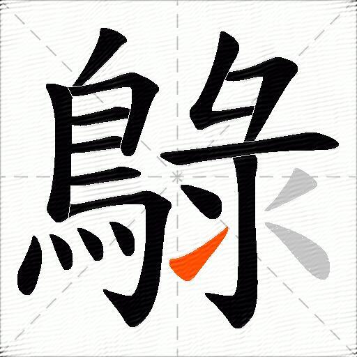 鵦