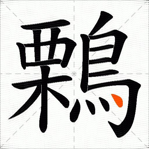 鷅