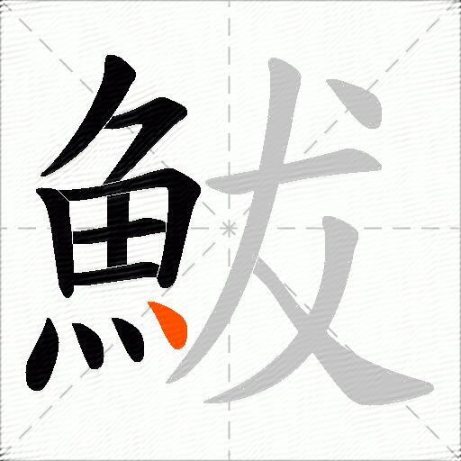 鮁