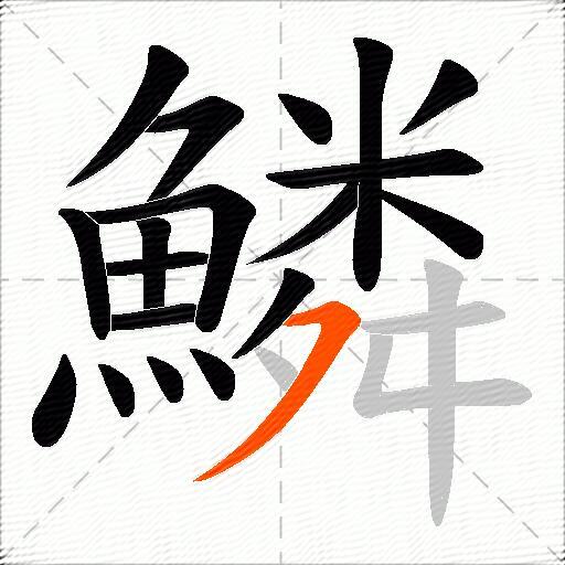 鱗