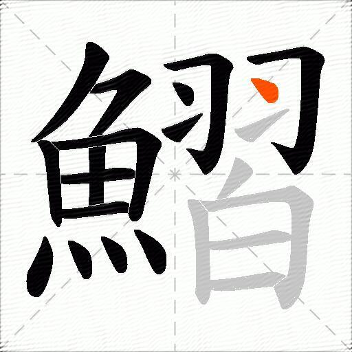 鰼