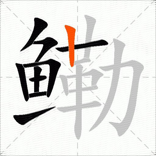 鳓