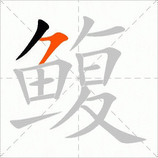 鳆