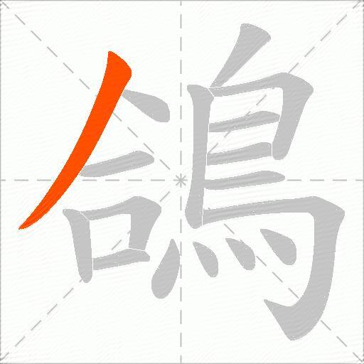 鴿