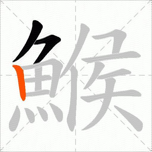 鯸