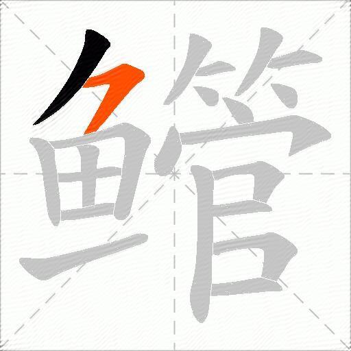 鳤