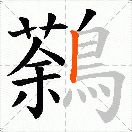 鷋