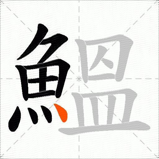 鰮