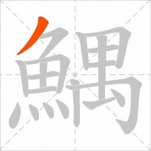 鰅