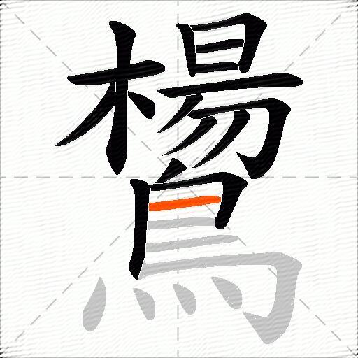鸉