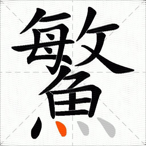 鰵
