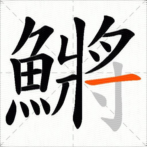 鱂