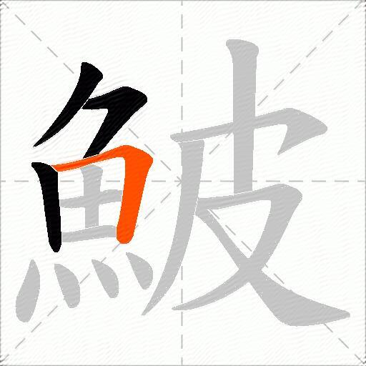 鮍