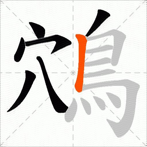 鴪