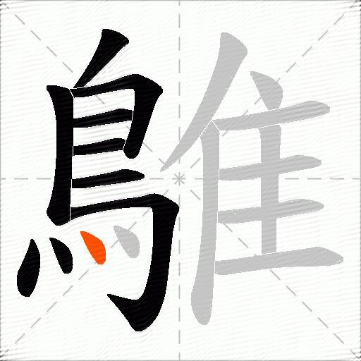 鵻