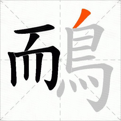 鴯