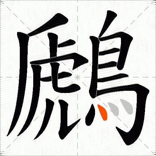 鷉