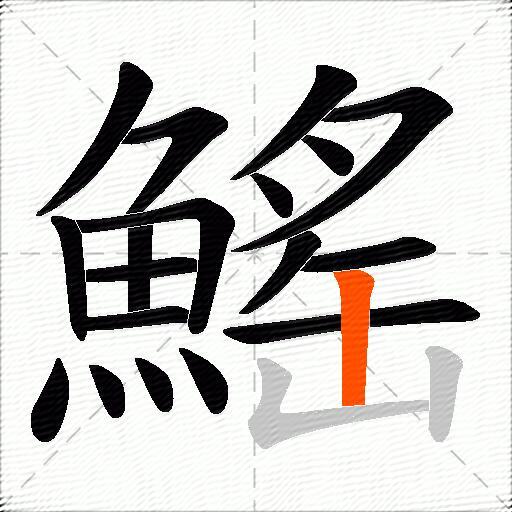 鰩
