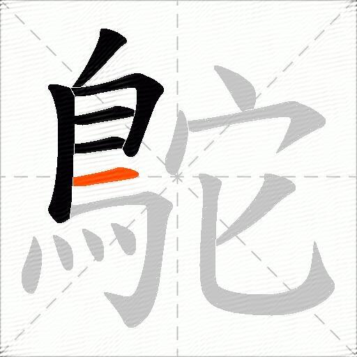 鴕