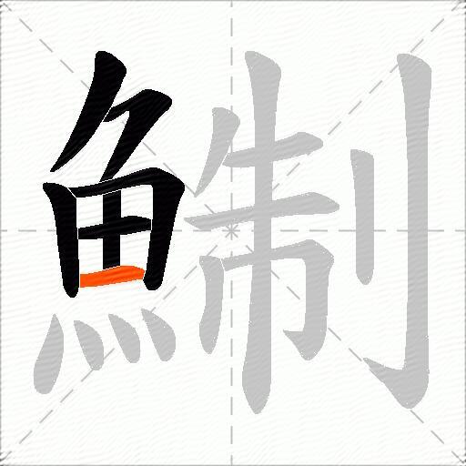 鯯