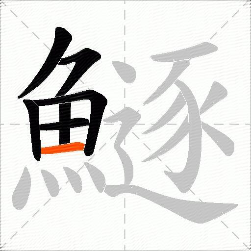 鱁