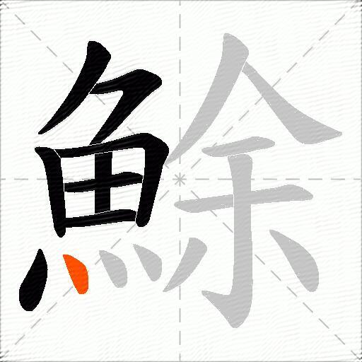 鮽
