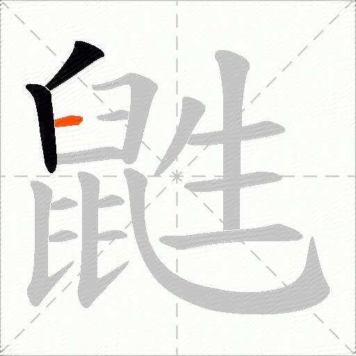 鼪