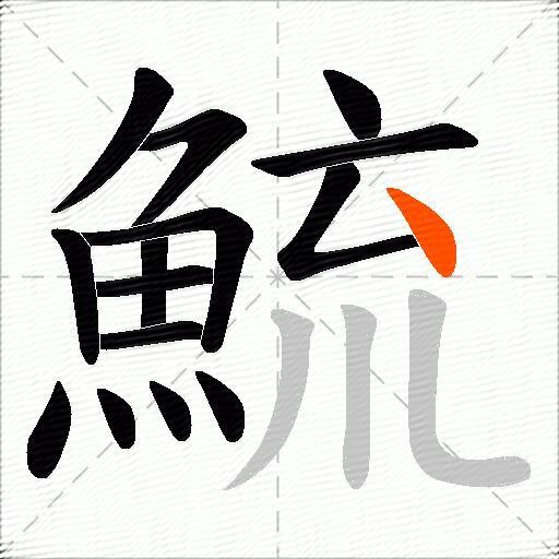 鯍