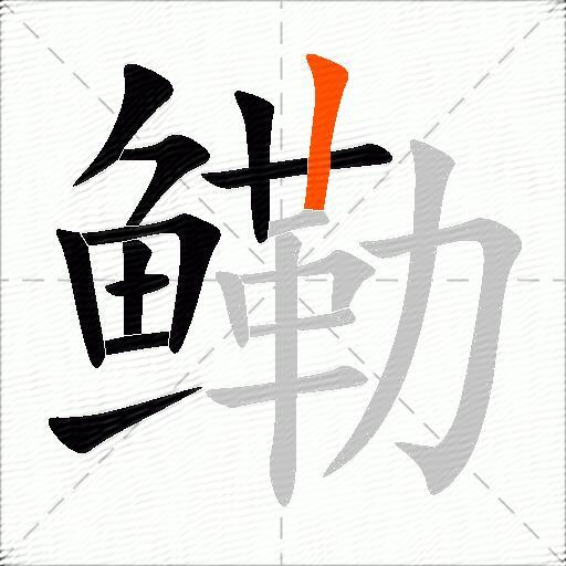 鳓