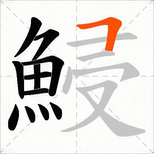 鮼