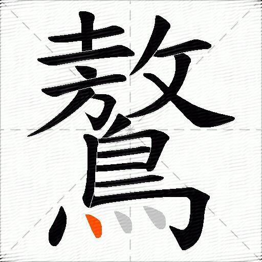 鷔
