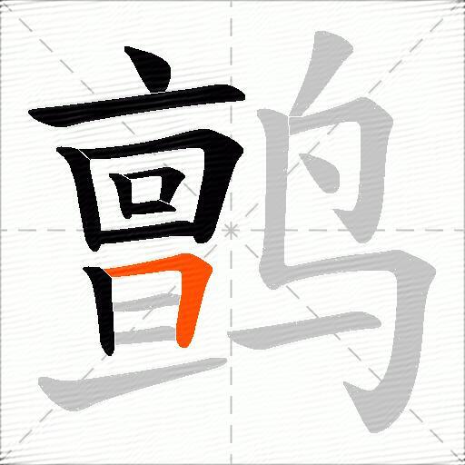 鹯