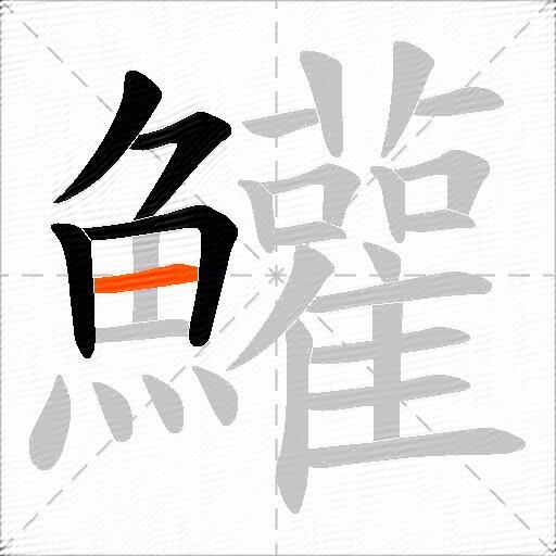 鱹