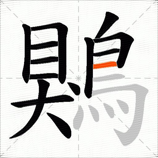鶪