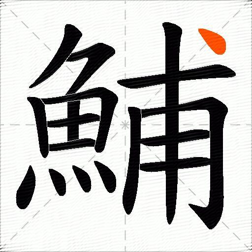 鯆