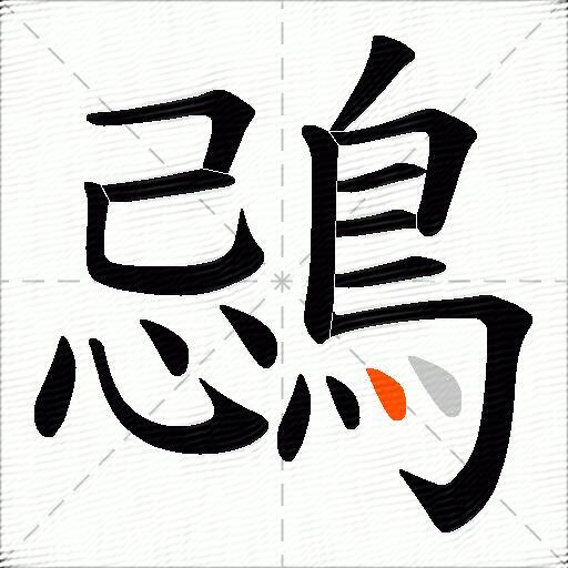 鵋