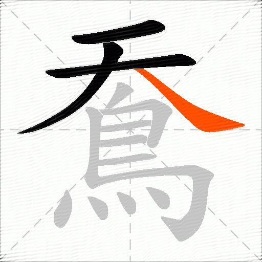 鴌