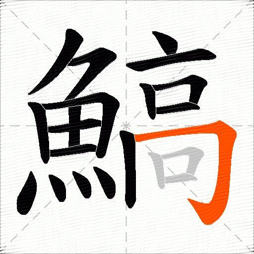 鰝